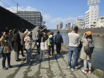 野鳥観察＠未来館(1/26)