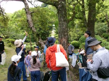 春の城山　わくわく昆虫観察(4/19)