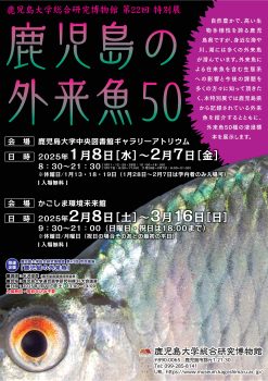 特別展　鹿児島の外来魚50(2/8～3/16)